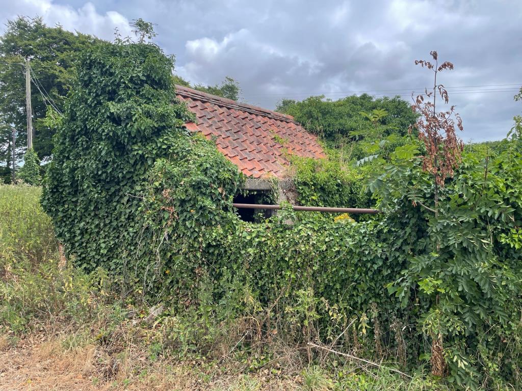 Lot: 56 - DETACHED BUILDING AND LAND - 